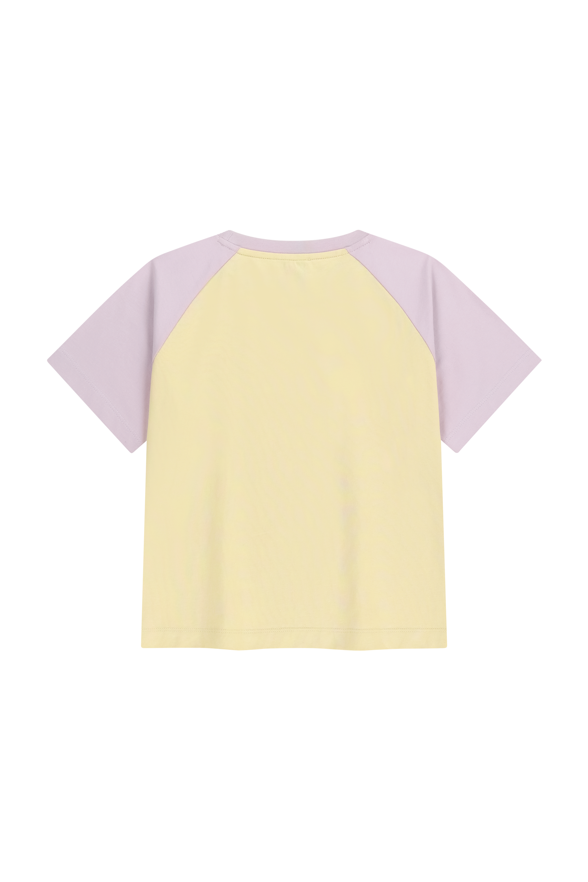 W SMALL REGULAR LOGO RAGLAN CROP TEE