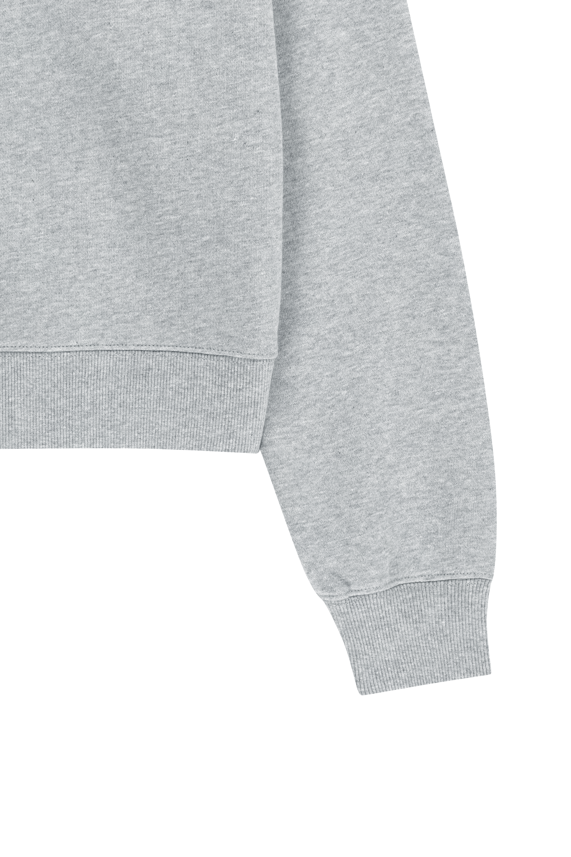 W SMALL CLASSIC LOGO HALF ZIPUP CROP SWEATSHIRT