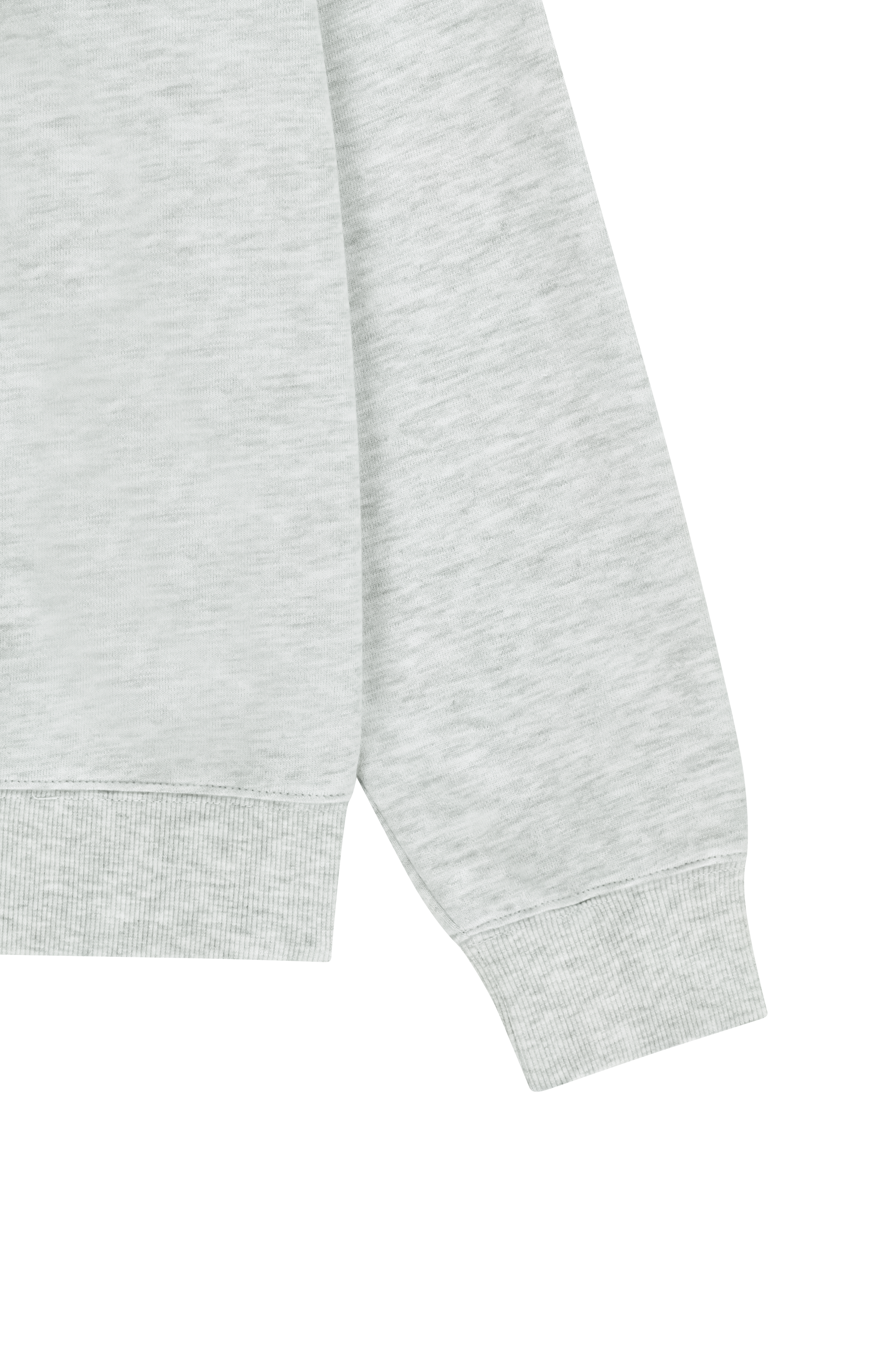 SMALL CLASSIC LOGO HALF ZIPUP SWEATSHIRT