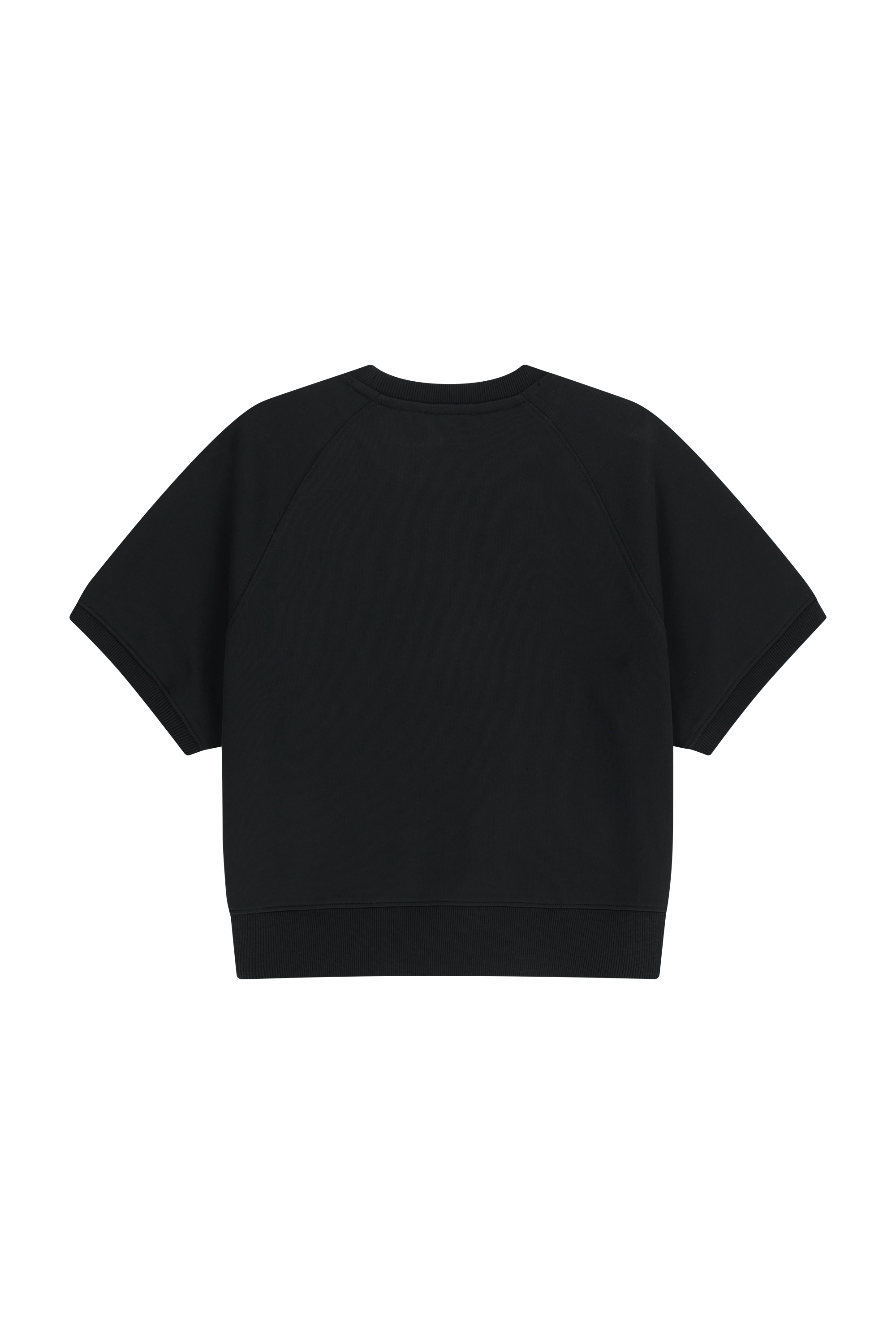 W VINTAGE CLASSIC LOGO HALF SWEATSHIRT