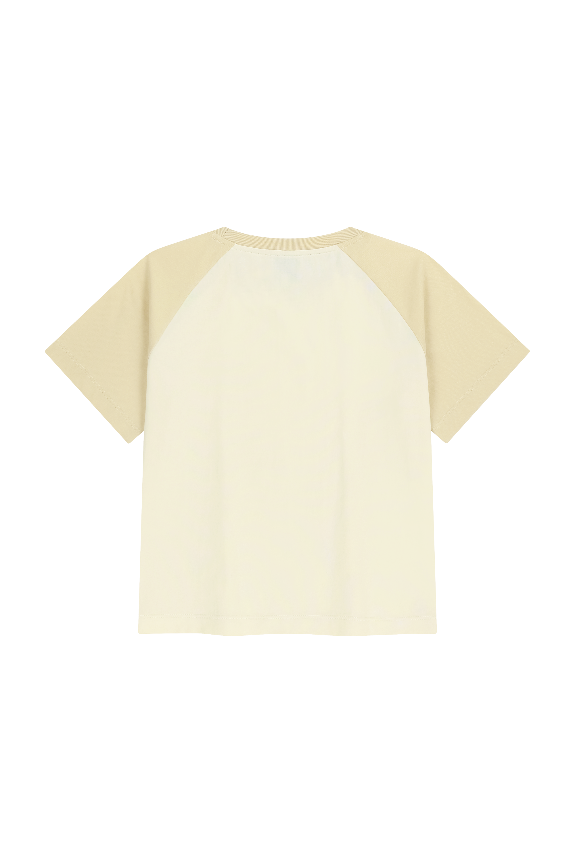 W SMALL REGULAR LOGO RAGLAN CROP TEE